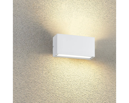 Applique extérieure Trent LED fixe 9 W 1100 lm 3000 K blanc