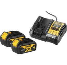 Chargeur de batterie DeWalt avec deux batteries 18 volts