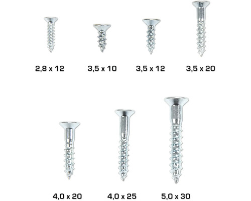 Différentes tailles de vis à tête fraisée en métal