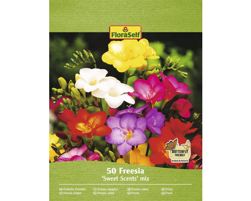 Bulbe de freesia FloraSelf 'Sweet Sence Mix' 50 pièces