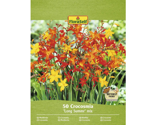 Bulbe à fleurs Montbretie, Crocosmia FloraSelf 'Long Summer Mix' 50 pièces