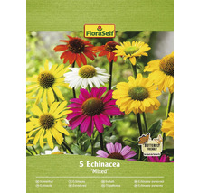 Packung mit gemischten Echinacea Samen