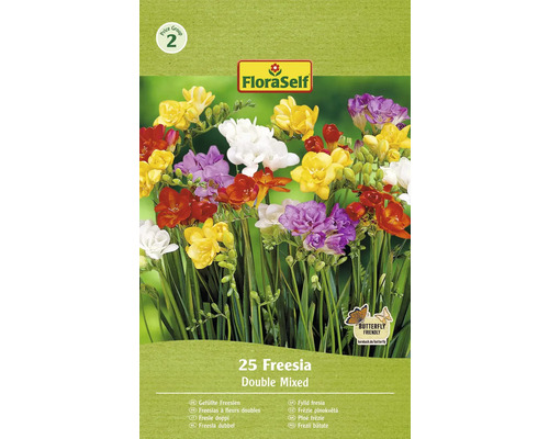 Bulbe de Freesia FloraSelf 'Mélange à fleurs doubles' 25 pièces