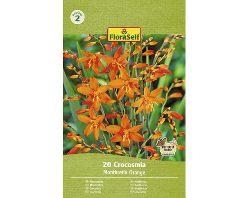 Bulbe de fleurs Crocosmia/Montbretie FloraSelf 'Orange' 20 pièces