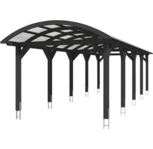 Abri en bois avec toit transparent pour l''extérieur