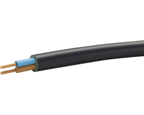 Câble pour appareils TD 2x1 mm2 noir 10 m Câble électrique à deux conducteurs avec fils de cuivre