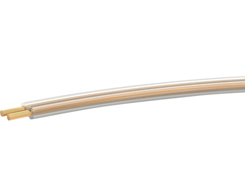 Câble pour haut-parleur LS HF 2x2,5 mm2 transparent 10 m Câble de haut-parleur à deux fils