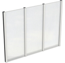Paroi latérale plaques en polycarbonate SKAN HOLZ 243 x 200 cm anthracite