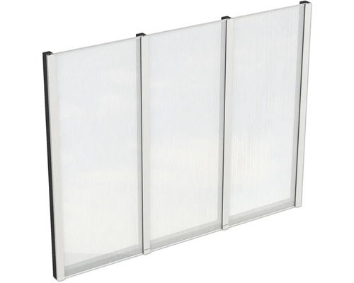 Paroi latérale plaques en polycarbonate SKAN HOLZ 243 x 200 cm anthracite Trois éléments de protection visuelle translucides avec cadre