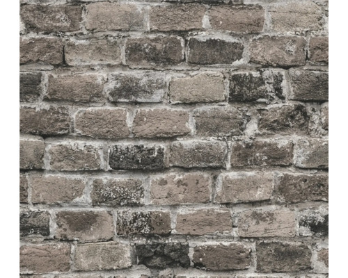 Gros plan d''un mur avec des briques rectangulaires