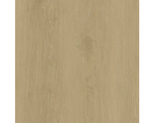 Holzstruktur für Bau- und Renovierungsprojekte