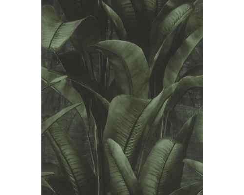 Tapete mit tropischen Blättern für die Wandgestaltung