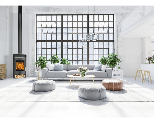 Salon avec poêle à bois, canapé et grandes fenêtres pour une ambiance lumineuse et conviviale.