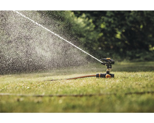 Rasensprenger bewässert Rasenfläche