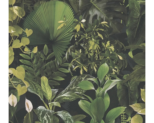 Papier peint intissé 39698-1 Pint Walls 2 feuilles de la jungle noir Papier peint avec divers motifs végétaux pour la décoration murale