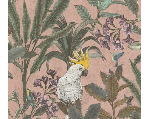 Papier peint intissé 39748-1 Pint Walls 2 jungle cacatoès rose Papier peint avec motifs de jungle, incluant perroquet et colibri