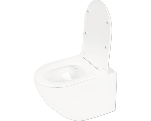 Differnz Wand-WC Set WC Tiefspüler ohne Spülrand weiss glänzend mit WC-Sitz 38.500.04