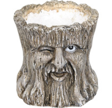 Pot de fleurs aspect souche d''arbre avec visage