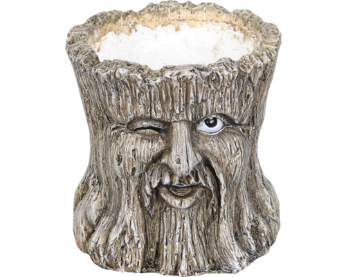 Pot de fleurs aspect souche d''arbre avec visage