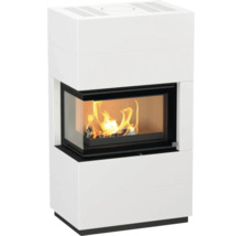 Cheminéeofen mit Sichtfenster und brennendem Holz