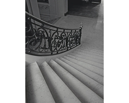 Escalier avec marches en marbre et balustrade ornée