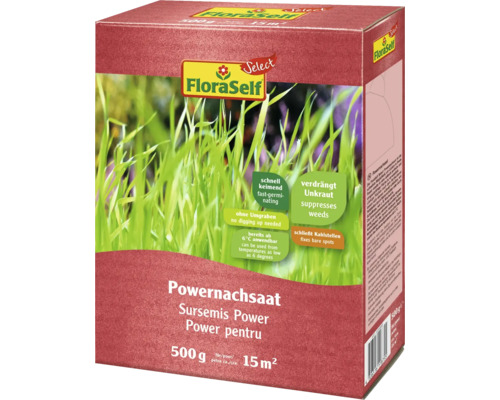 Gazon de réensemencement et de réparation FloraSelf Select Powernachsaat enrobé 0.5 kg / 15 m²