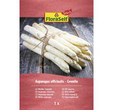 Paquet d''asperges blanches variété Gromlin