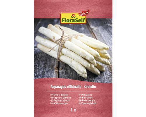 Rhizome d'asperge FloraSelf Select Albus blanc Paquet d''asperges blanches variété Gromlin