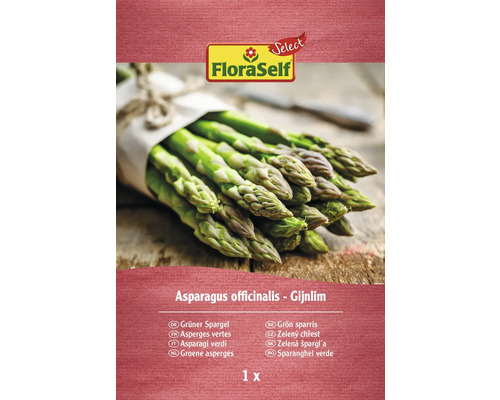 Rhizome d'asperge FloraSelf Select Virdis vert FloraSelf asperges vertes, un bouquet d''asperges