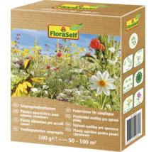 FloraSelf Plantes nourricières pour oiseaux chanteurs, 100 grammes, environ 50 à 100 mètres carrés