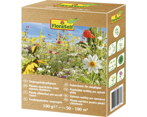 FloraSelf Plantes nourricières pour oiseaux chanteurs, 100 grammes, environ 50 à 100 mètres carrés