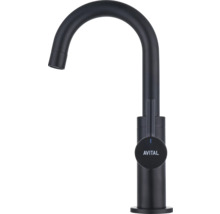 Robinet d'eau froide AVITAL CLYDE XS noir mat