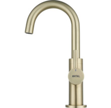 Robinet d'eau froide AVITAL CLYDE XS or mat