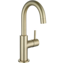 Robinet d'eau froide AVITAL CLYDE XS or mat
