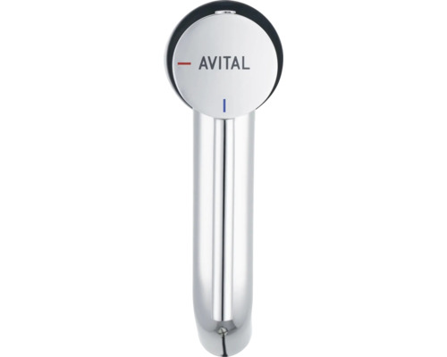 Avital Armatur für Küche