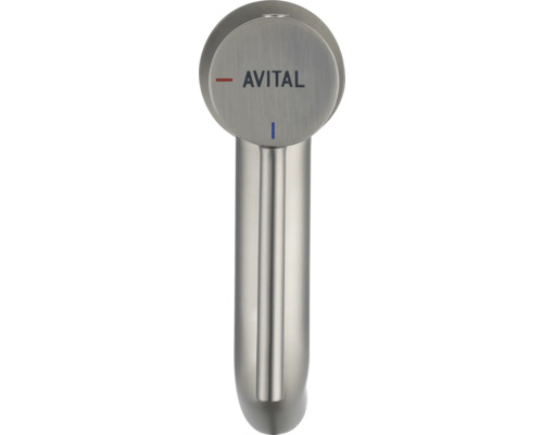 Robinet de cuisine Avital en argent