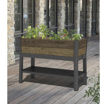 Hochbeet mit Pflanzen und Ablagefläche