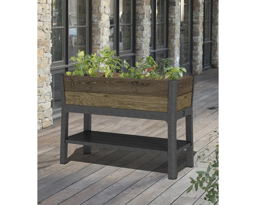 Hochbeet Keter Ashwood 113 x 48 x 79,5 cm Walnuß Hochbeet mit Pflanzen und Ablagefläche