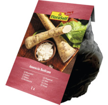 Emballage raifort de FloraSelf