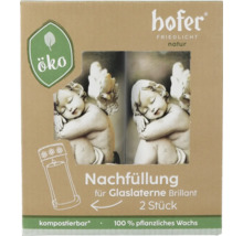 Hofer Friedlicht Natur Recharge pour lanterne en verre Brillant, 2 pièces, en cire végétale