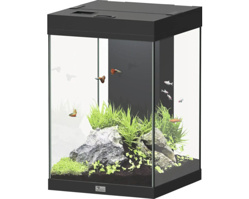 Aquarium Aqua Tower 96 schwarz