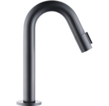 Robinet de cuisine avec douchette extractible