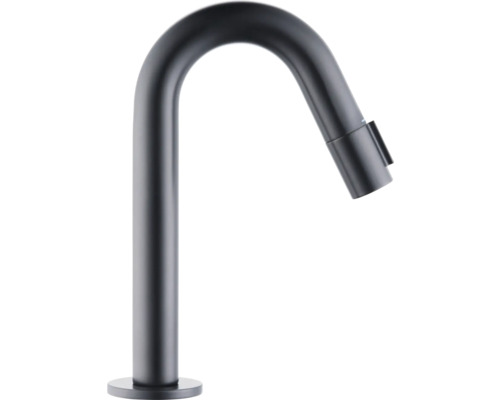 Robinet d'eau froide form&style TAO L noir mat Robinet de cuisine avec douchette extractible