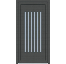 Haustür mit Lichtausschnitt und Rahmen