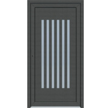 Graue Haustür mit fünf Glasstreifen