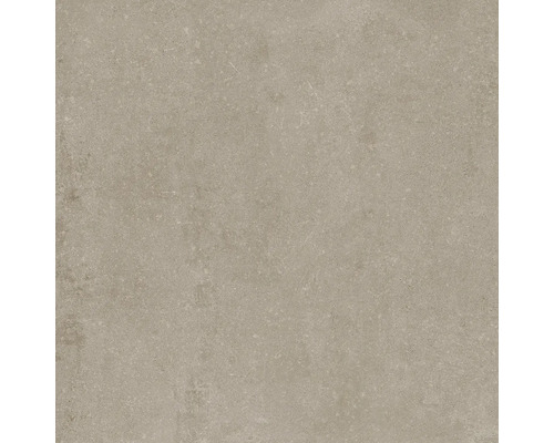 Surface de carreaux à l''aspect mat