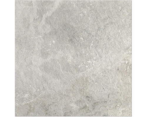 Carreau en grès cérame gris avec surface mate