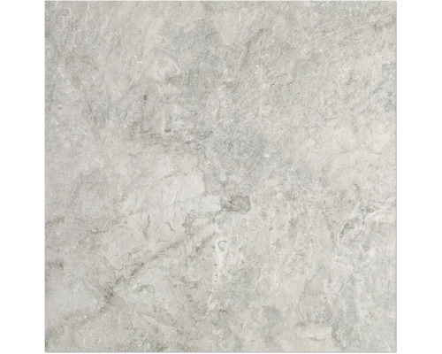 Carreau en grès cérame gris aspect marbre pour l''intérieur