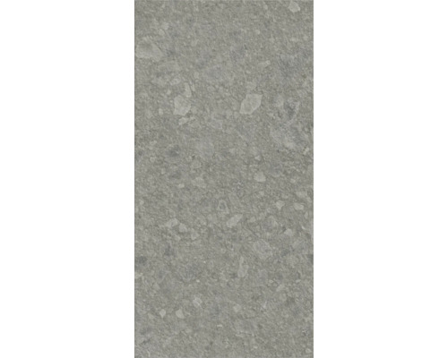 Carreau en grès cérame gris avec motif de pierre