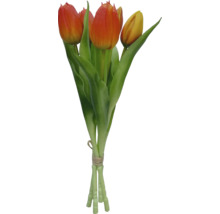 Strauß Tulpen mit grünen Stielen